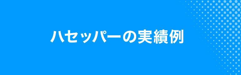 ハセッパーの実績例