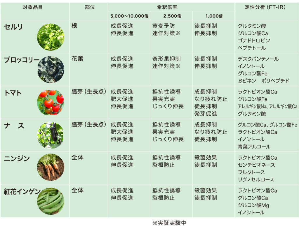 栽培実証と評価検証